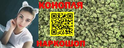 гидропоника Мирный