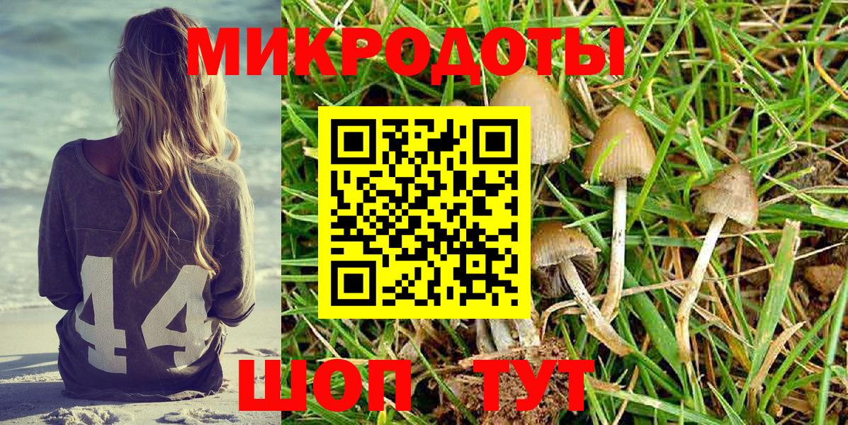 Рязань  Псилоцибиновые грибы Cubensis  Вход с VPN  Галлюциногенные грибы прущие грибы 