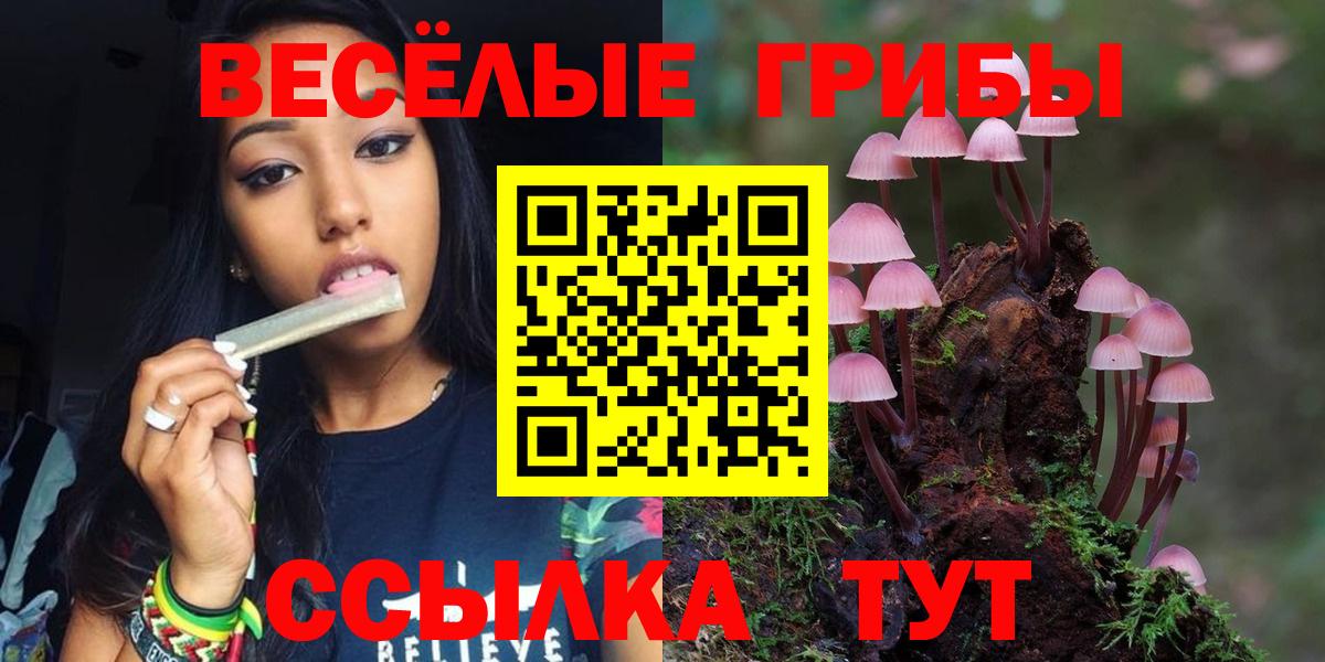Псилоцибиновые грибы мухоморы Рязань